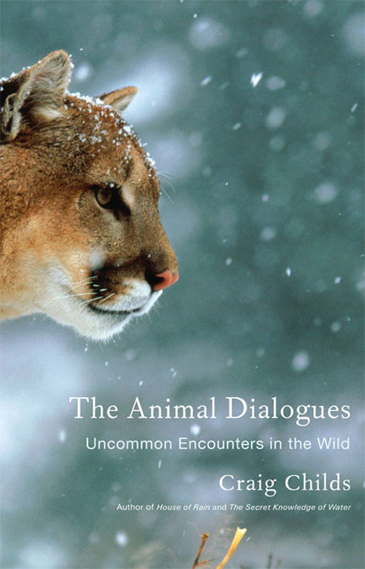 The Animal Dialogues: Uncommon Encounters in the Wild