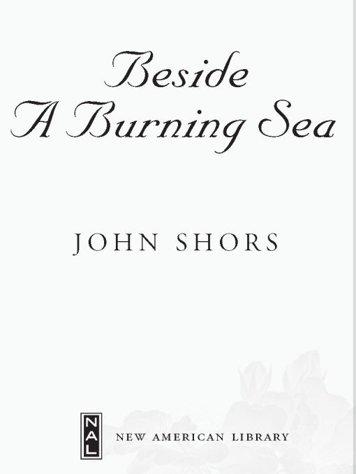 Beside a Burning Sea