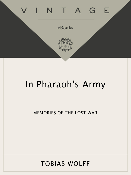 In Pharaoh's Army: Memories of the Lost War