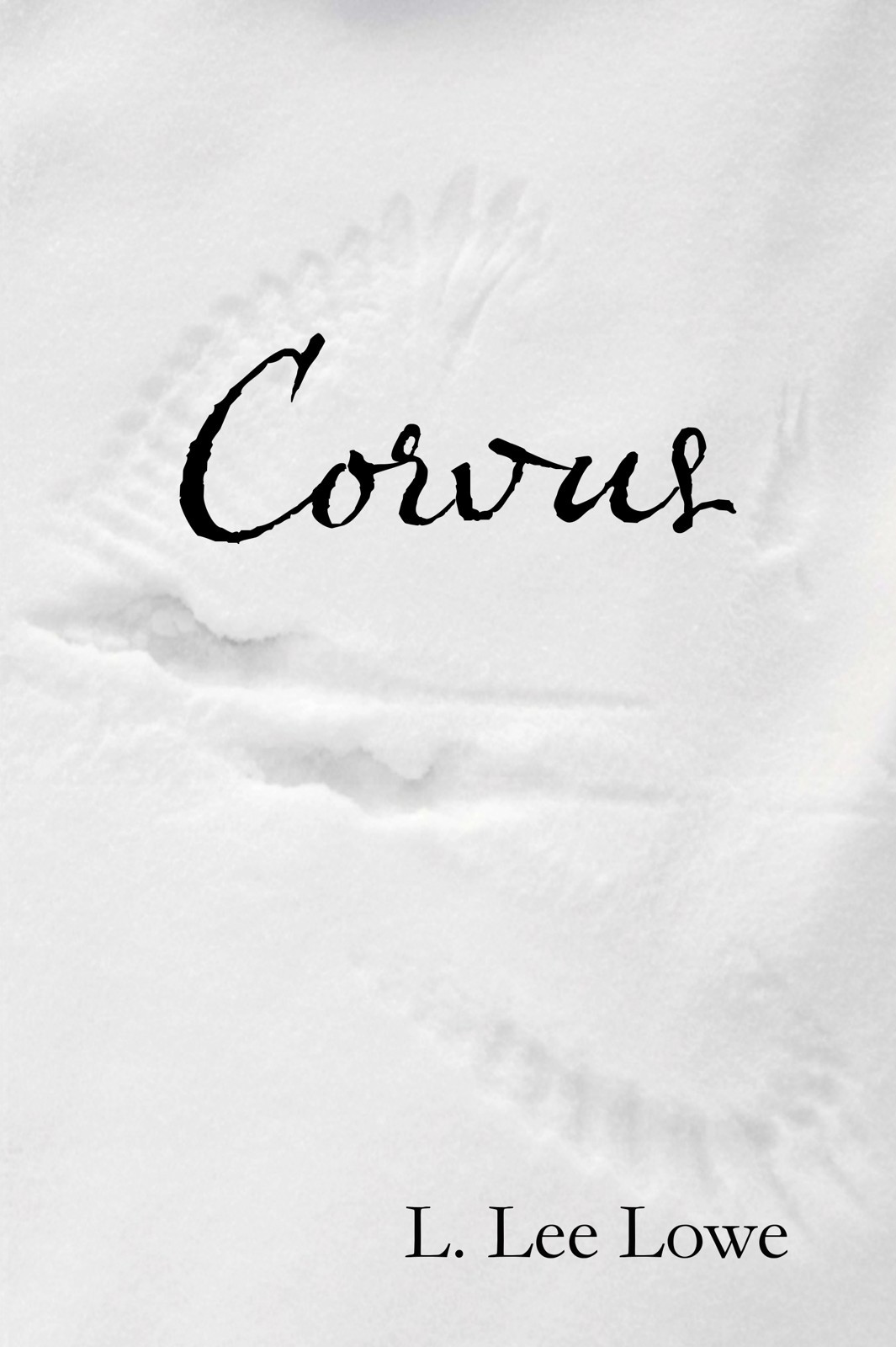 Corvus