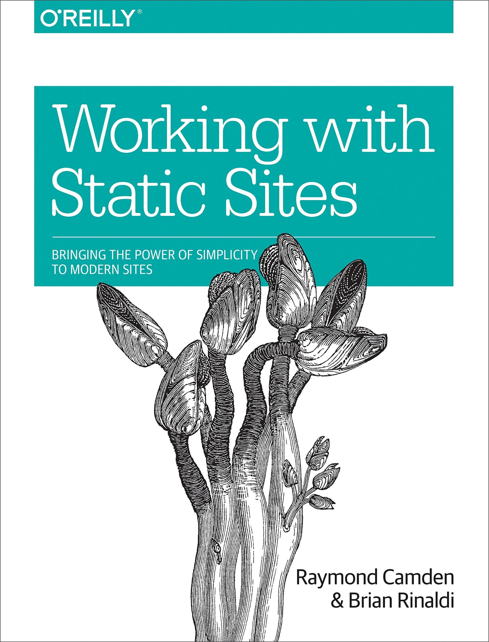 Working With Static Sites: Bringing the Power of Simple to Modern Websites