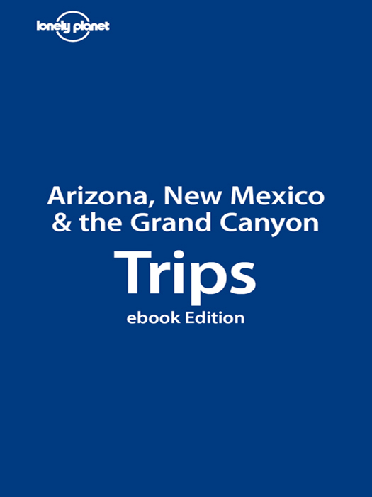 Arizona, New Mexico, and the Grand Canyon Trips: 58 Themed Itineraries, 1005 Local Places to See