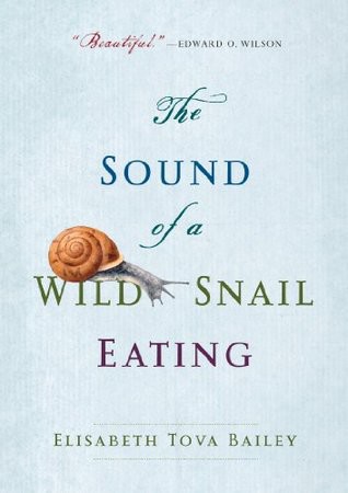 The Sound of a Wild Snail Eating
