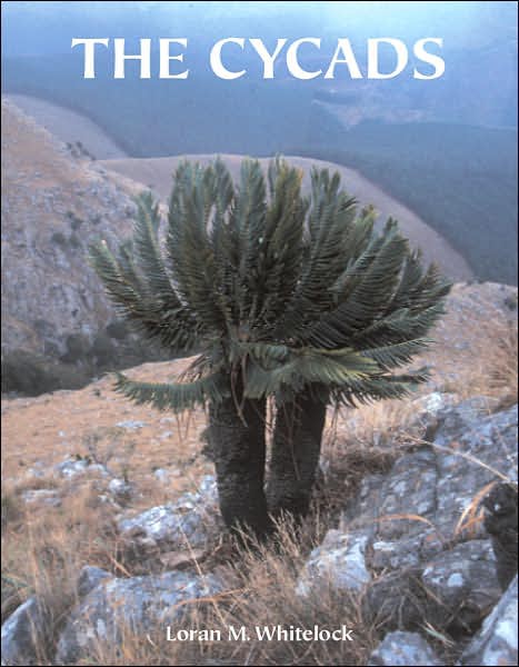 The Cycads