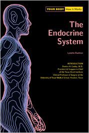 Endocrine System