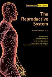 The Reproductive System