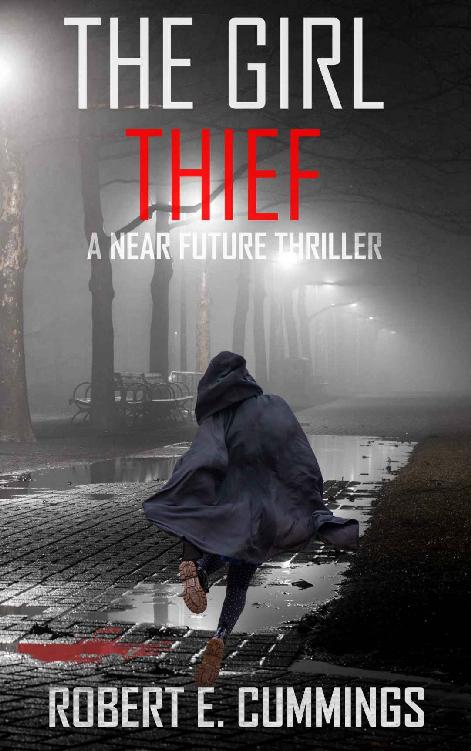 The Girl Thief: A Near Future Thriller