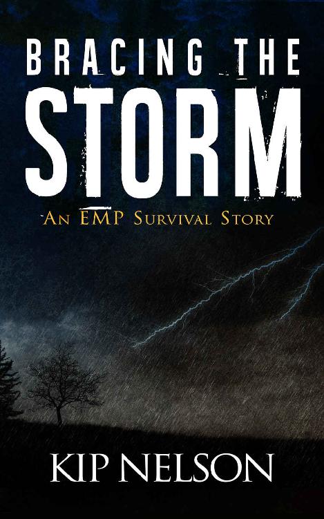Bracing the Storm: An EMP Survival Story