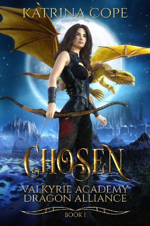 Valkyrie Academy Dragon Alliance: Collection Books 6-10