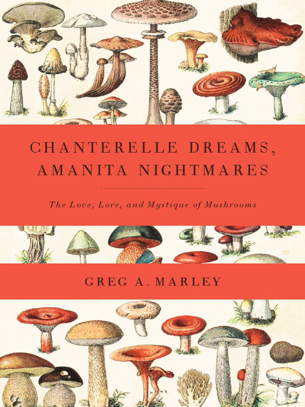Chanterelle Dreams, Amanita Nightmares: The Love, Lore, and Mystique of Mushrooms