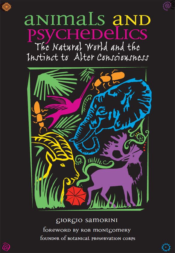 Animals and Psychedelics: The Natural World and the Instinct to Alter Consciousness