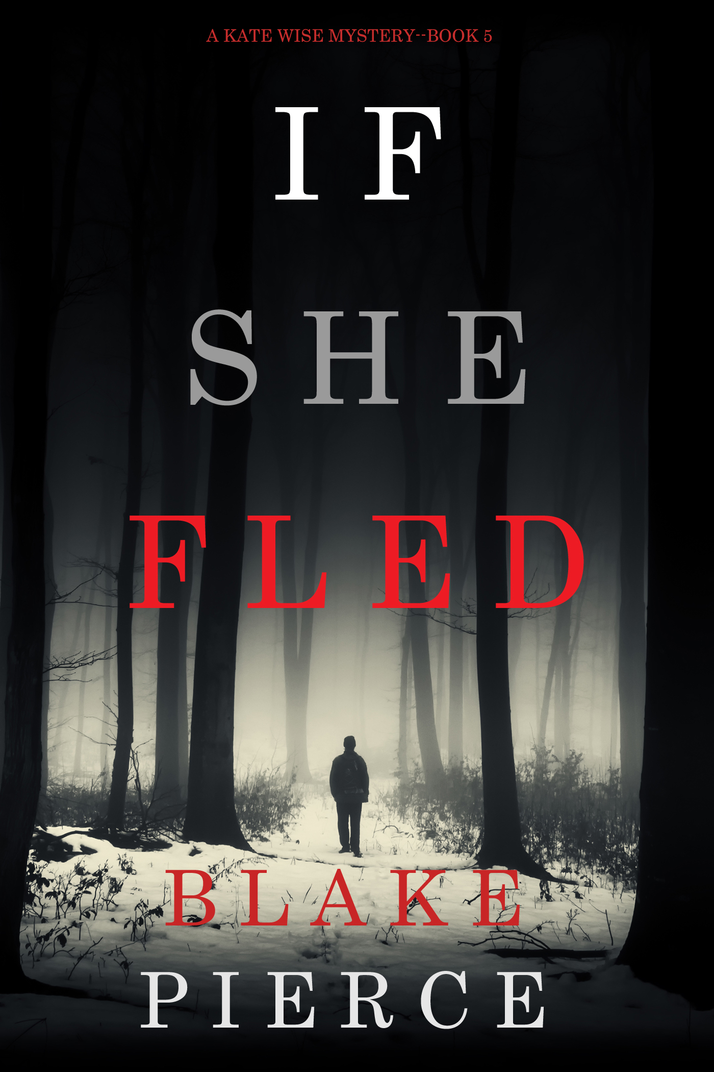 If She Fled (A Kate Wise Mystery—Book 5)