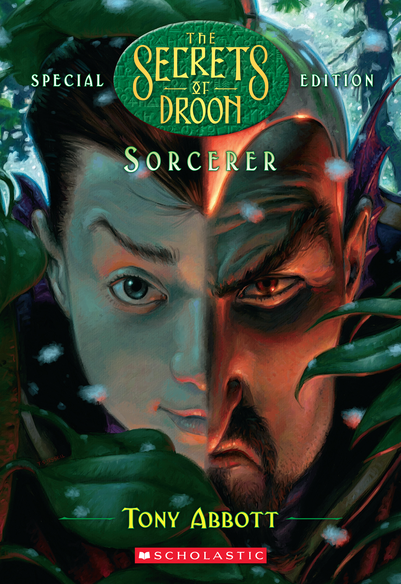 Sorcerer (The Secrets of Droon: Special Edition #4)
