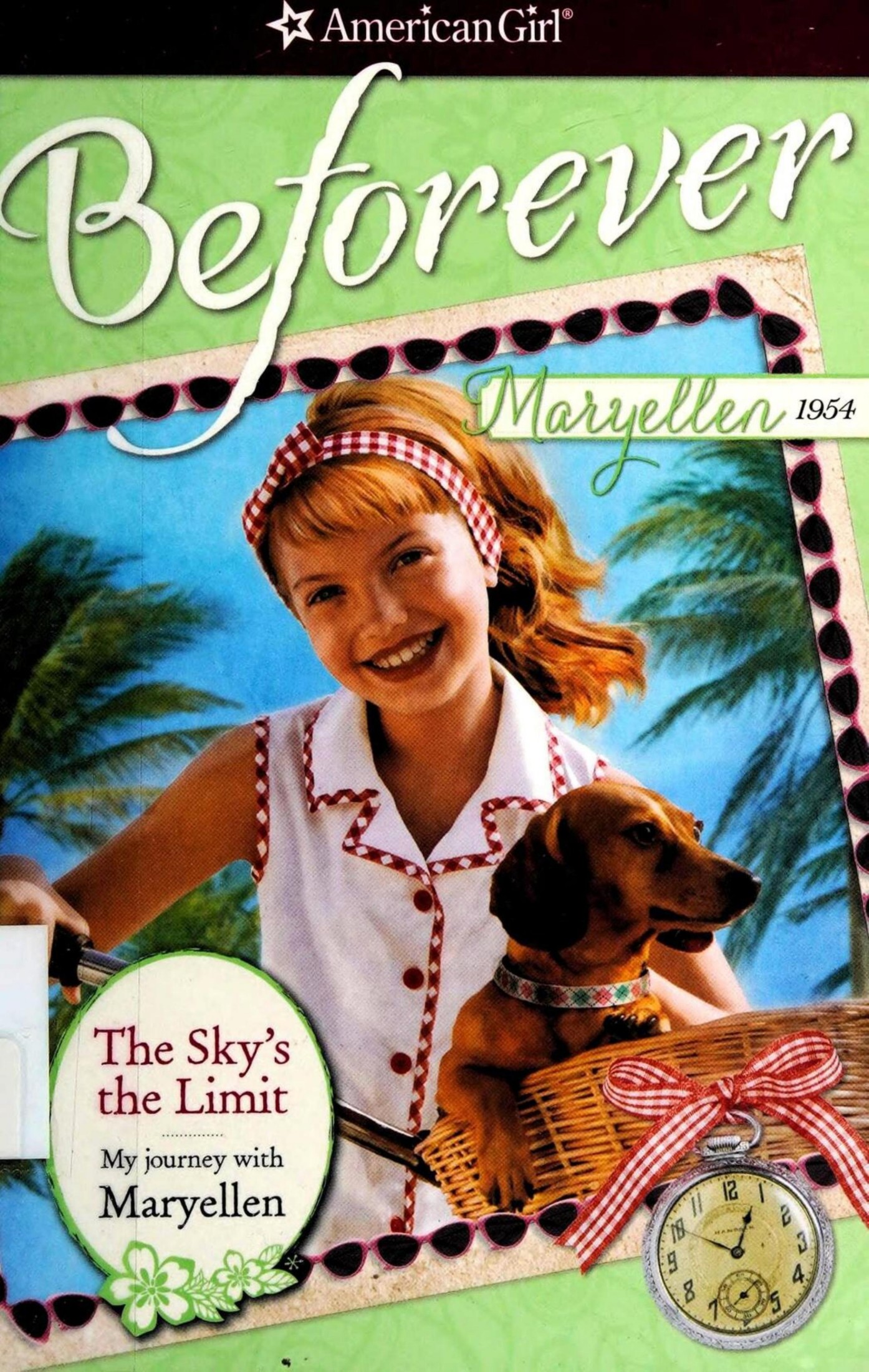 The Sky's the Limit: My Journey With Maryellen