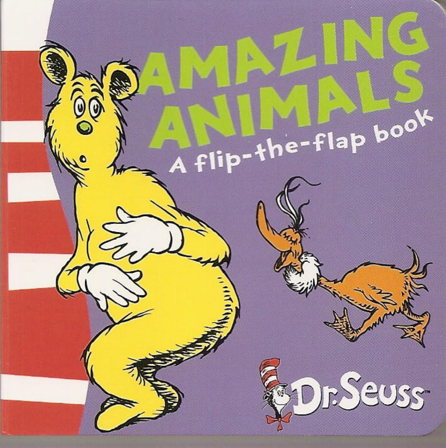 Amazing Animals