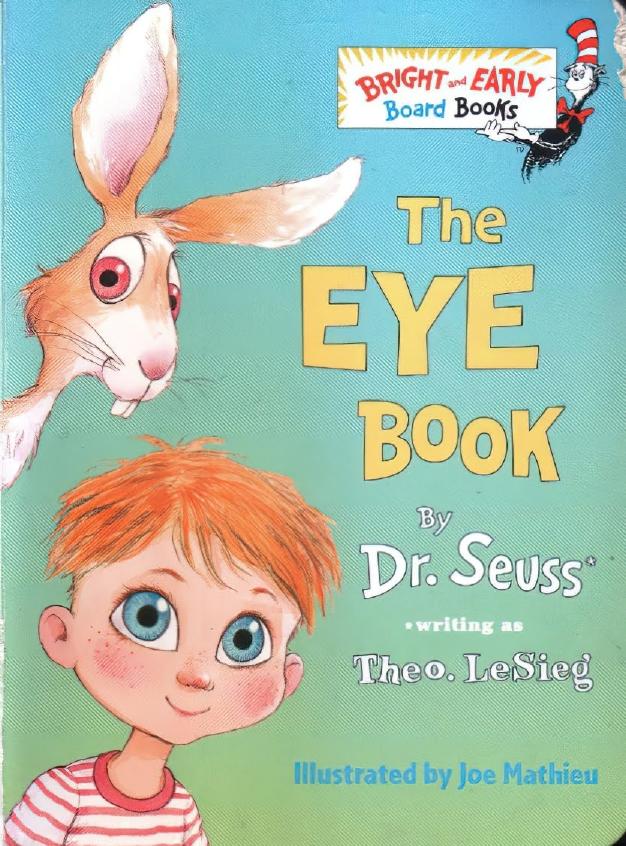 The Eye Book