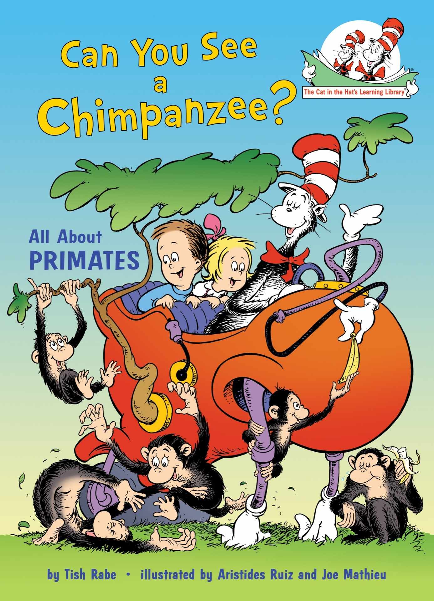 Can You See a Chimpanzee?: All About Primates
