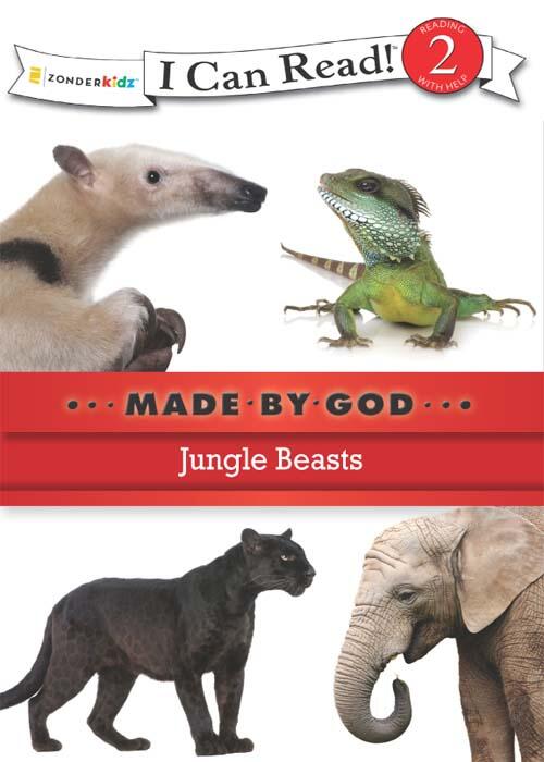 Jungle Beasts: Level 2