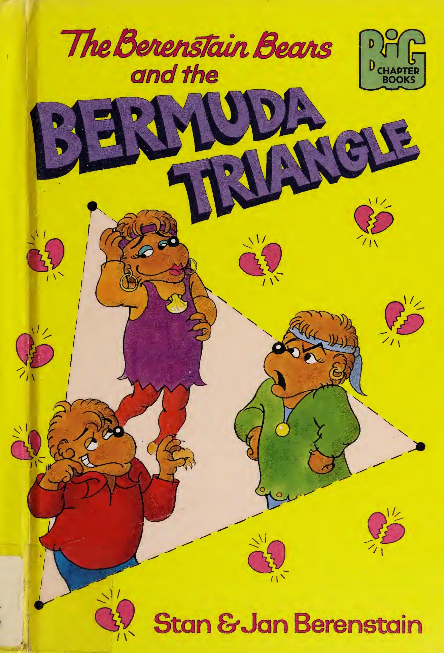 The Berenstain Bears and the Bermuda Triangle