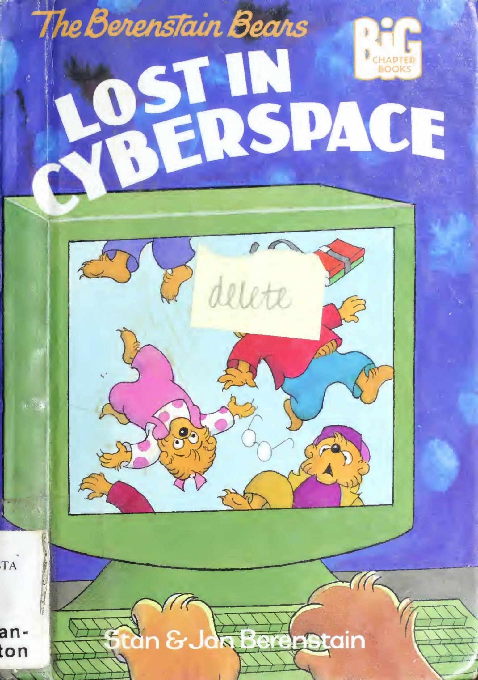 The Berenstain Bears Lost in Cyberspace