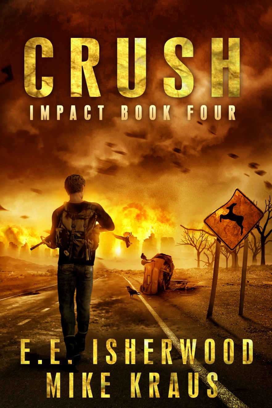 Crush: Impact Book Four