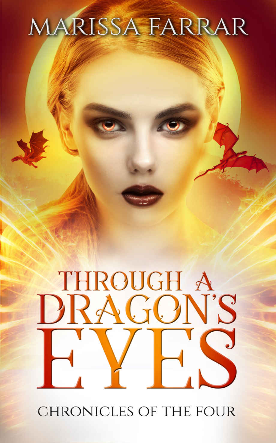 Through a Dragon's Eyes: A Reverse Harem Fantasy